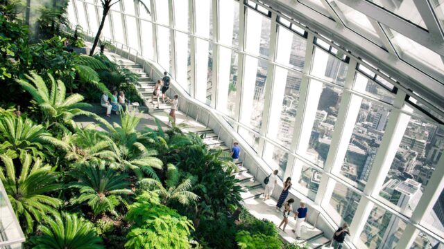 Admire the View From the Sky Garden in London